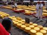 cheese markets alkmaar