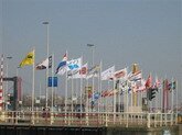 Parade of Flags in Rotterdam