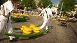 cheese markets alkmaar